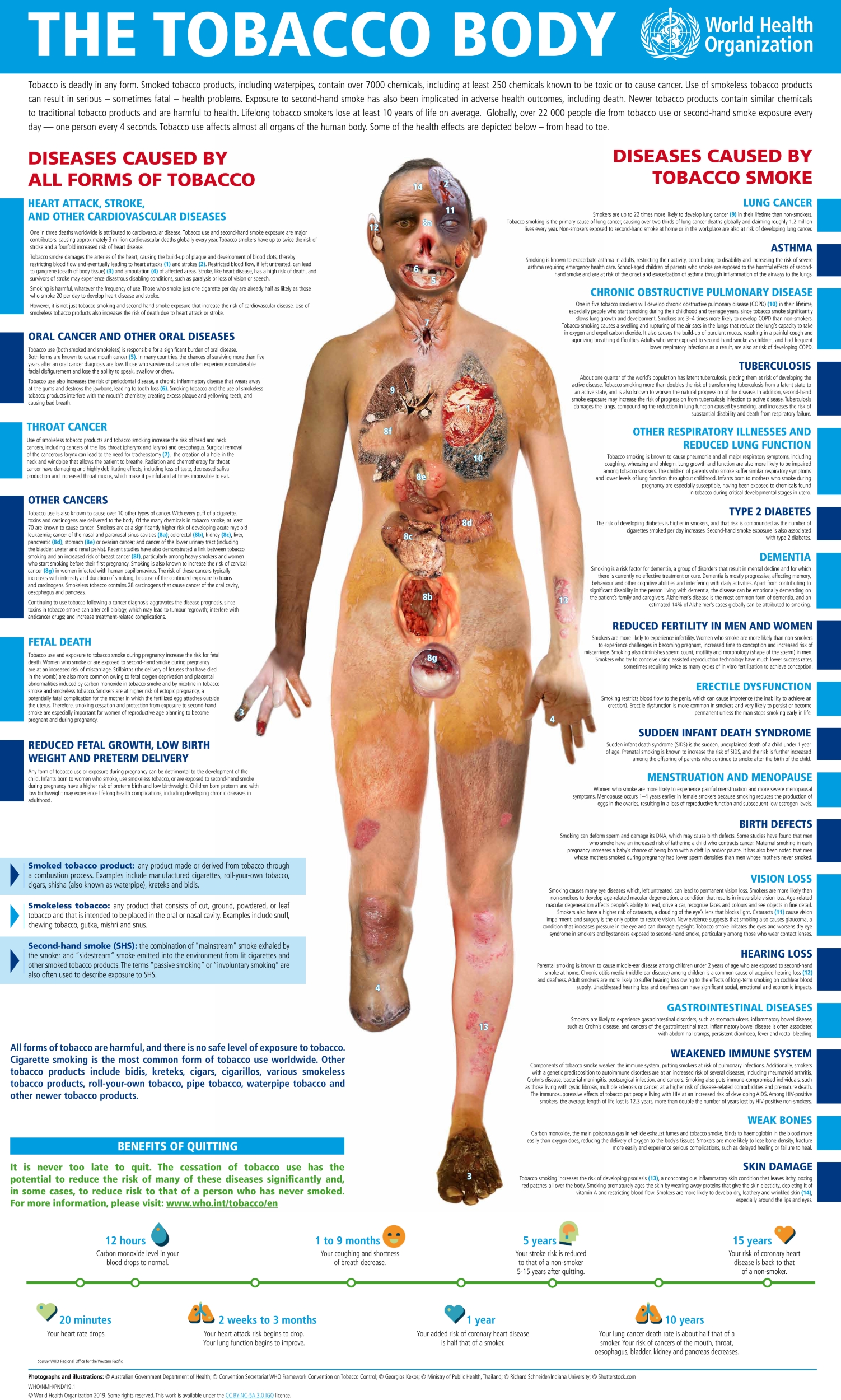 The tobacco body infografic WHO 2019