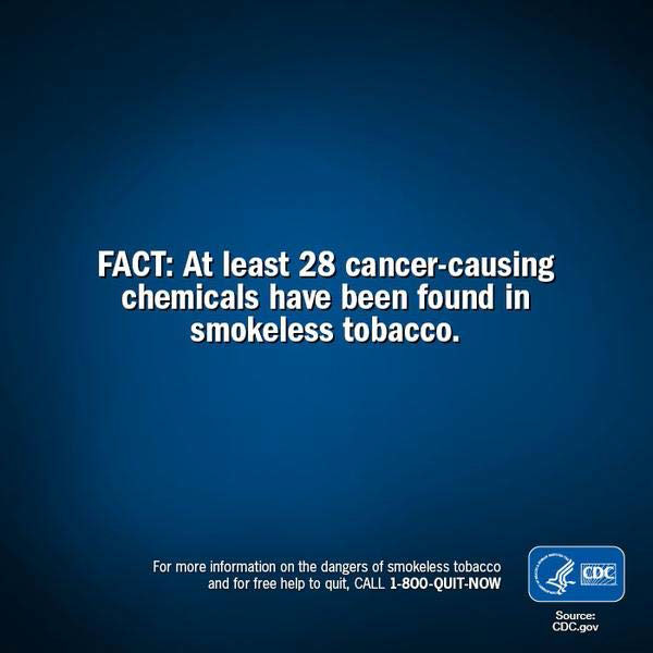 fact